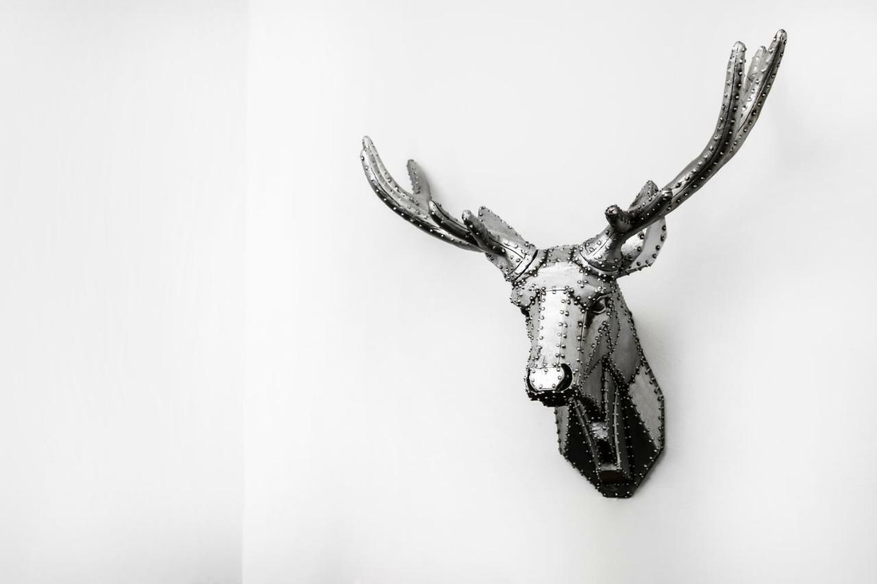 Apartament Reindeer